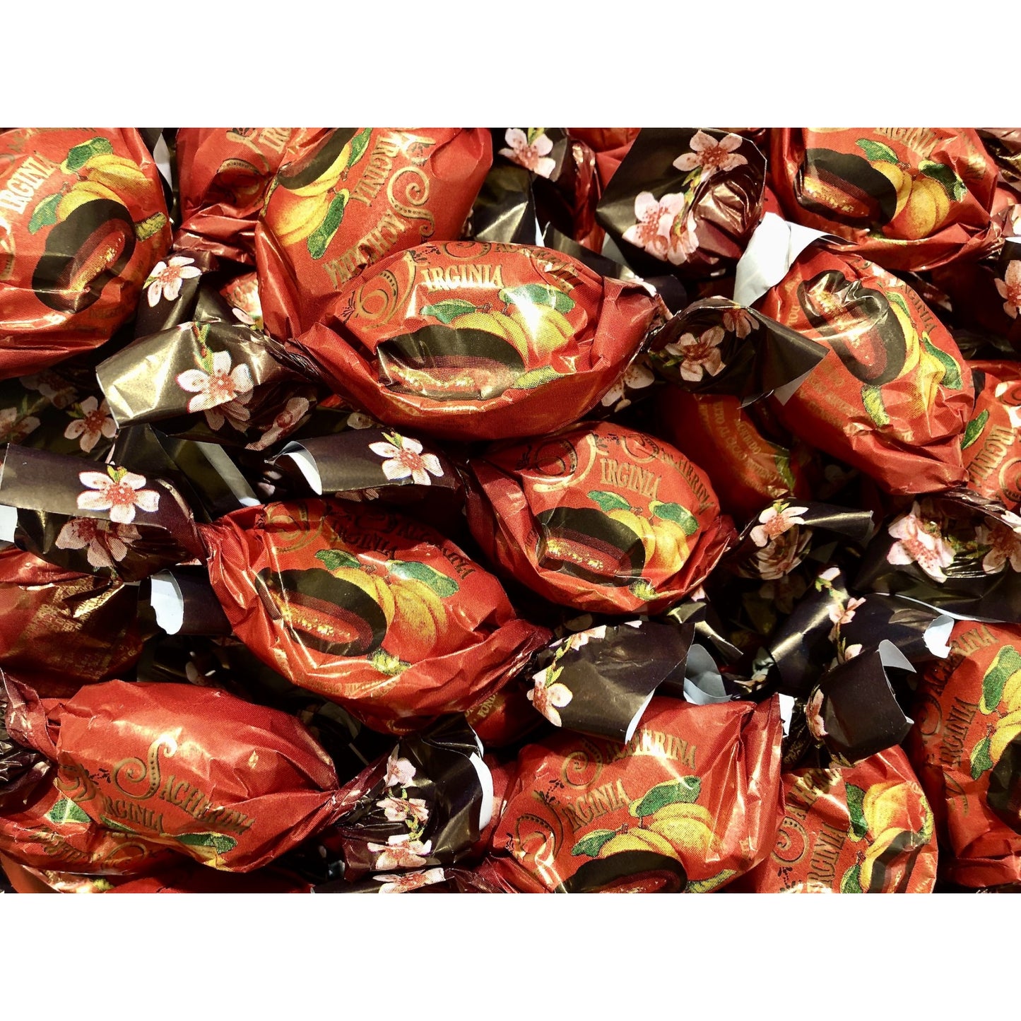 VIRGINIA SACHERINI ALBICOCCA E CACAO 500GR